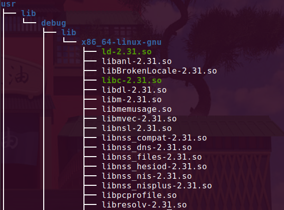 libc-dbg_2.31_ubuntu9_amd64